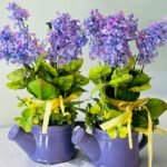 Enhance Your Floral Creations with Ceramic Materials